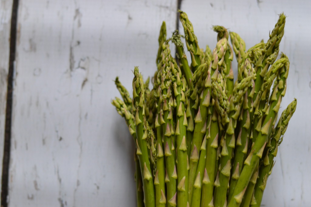 Sexy Asparagus Bloom